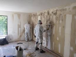 Best Attic Mold Removal in Bellaire, TX